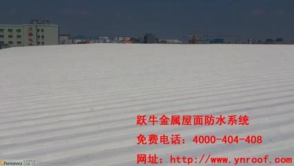 漳州工廠廠房鋼結(jié)構(gòu)金屬屋面防水補(bǔ)漏維修工程供應(yīng)承接